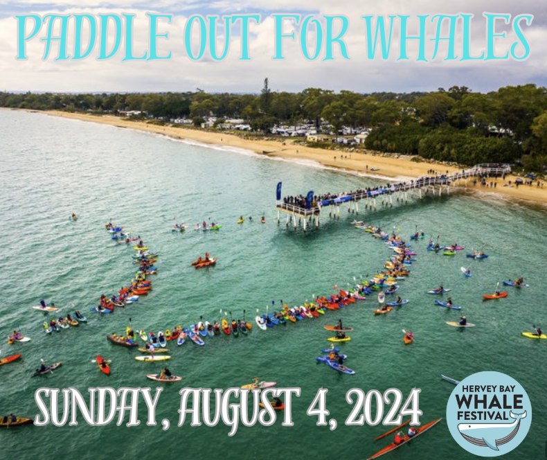 Hervey Bay Whale Festival – Paddle Out for Whales